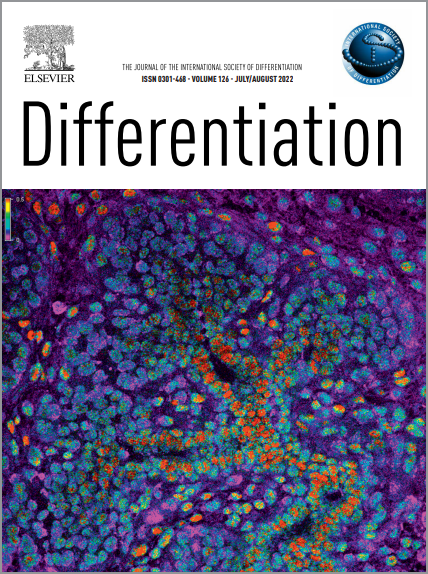 Differentiation Cover 3