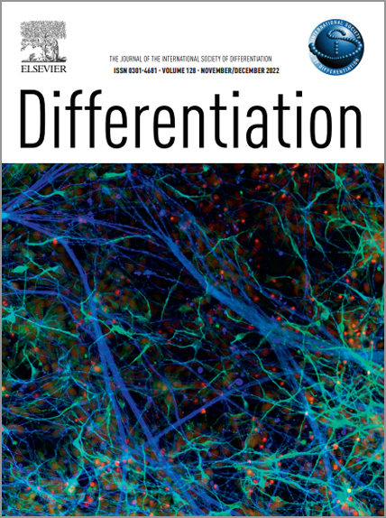 Differentiation Cover 1