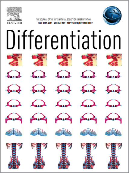 Differentiation Cover 2