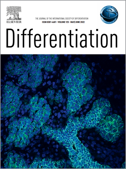 Differentiation Cover 4
